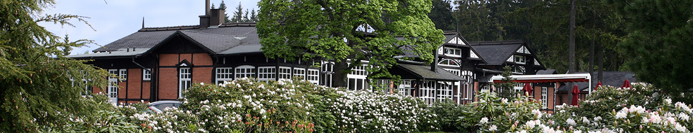 Royal Golf Club Mariánské Lázně - kvetoucí rododendrony před klubovnou Royal Golf Club Mariánské Lázně - kvetoucí rododendrony před klubovnou